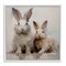 Stupell Industries Fluffy Spring Rabbits Framed Giclee Wall Art Design by Arlington Prints